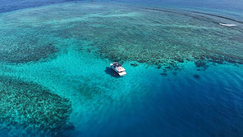 Custom Built 20 | Misraab