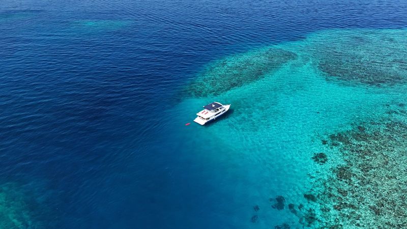 Custom Built 20 | Misraab