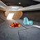 Ryck 280 | Enjoy