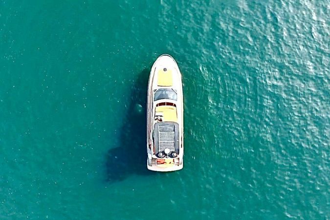 Custom Built 49 | Therapia