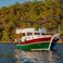 Custom Built 46 | Goldenlight