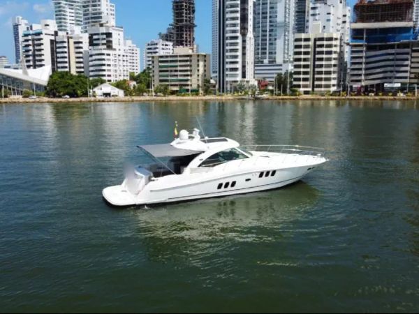 Sea Ray 62 | Niko