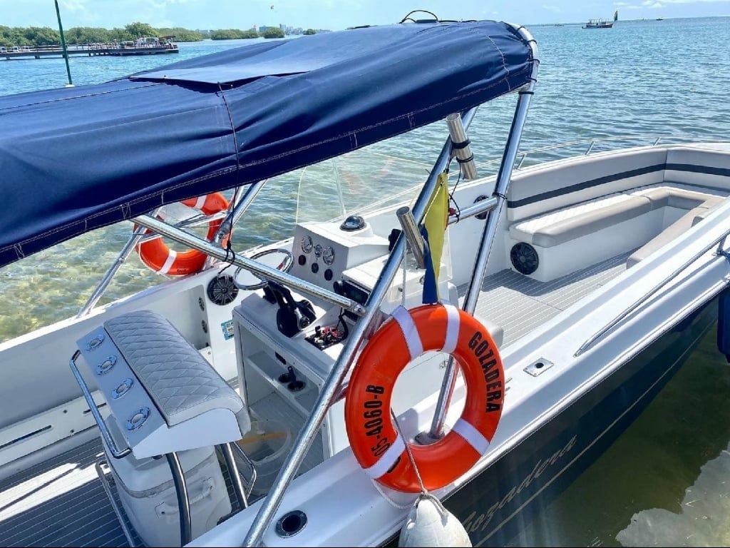 Bravo 290 | Gozadera