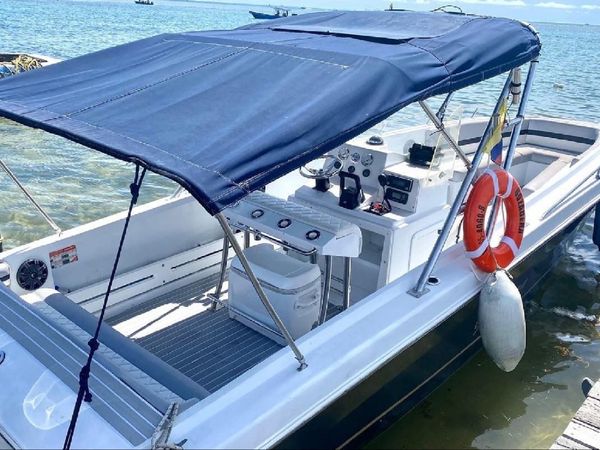 Bravo 290 | Gozadera