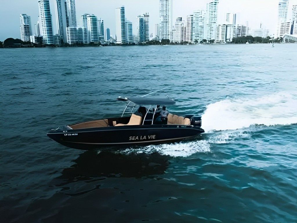 Bravo 290 | Sea La Vie