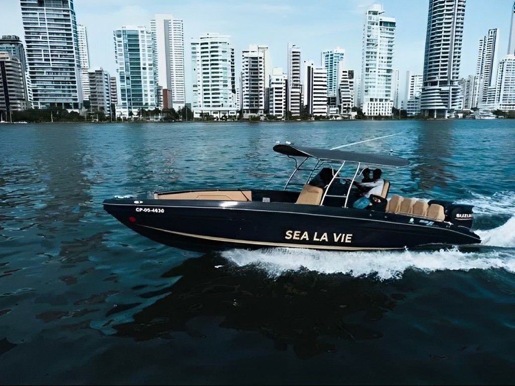 Bravo 290 | Sea La Vie