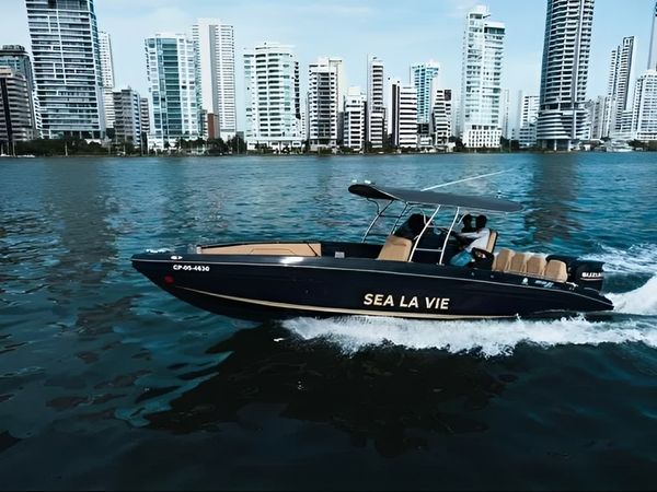 Bravo 290 | Sea La Vie