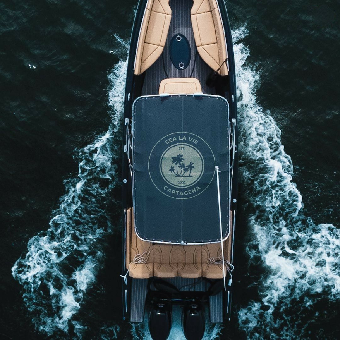 Bravo 290 | Sea La Vie