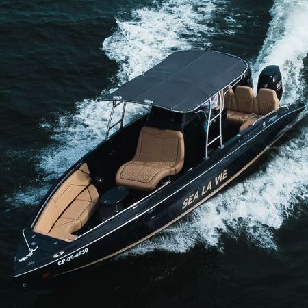Bravo 290 | Sea La Vie