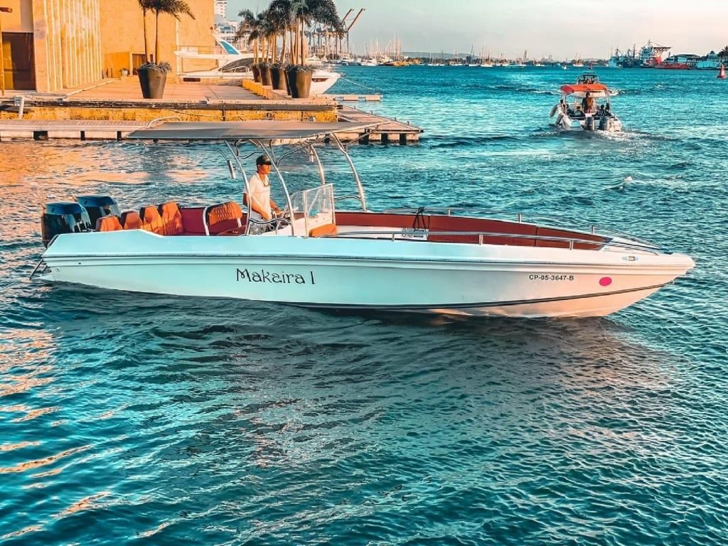 Bravo 290 | Makaira 1