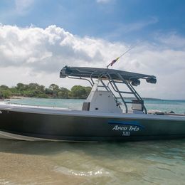 Bravo 300 | Arco Iris 13