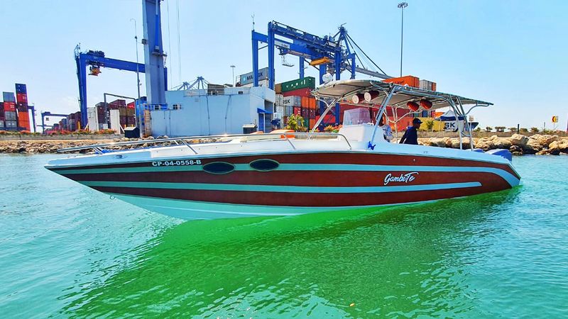 Todomar 34 | Gambito