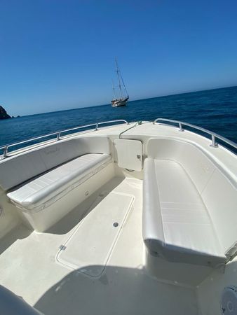 Todomar 32 | Serenity