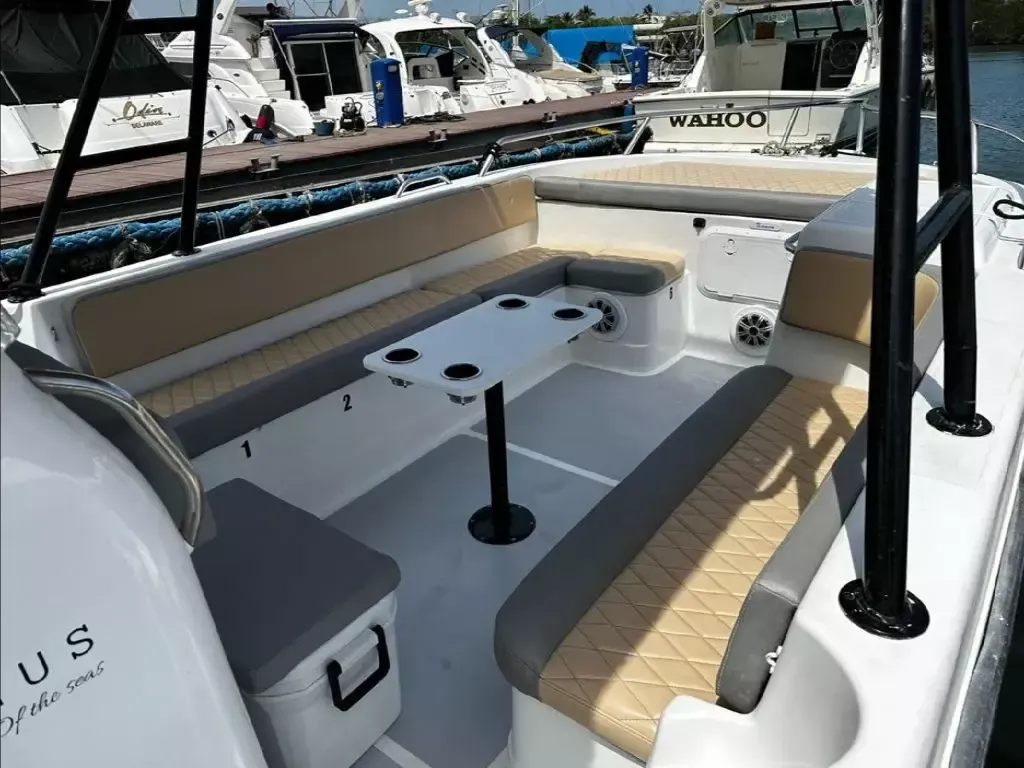 YachtCat 33 | Magnus