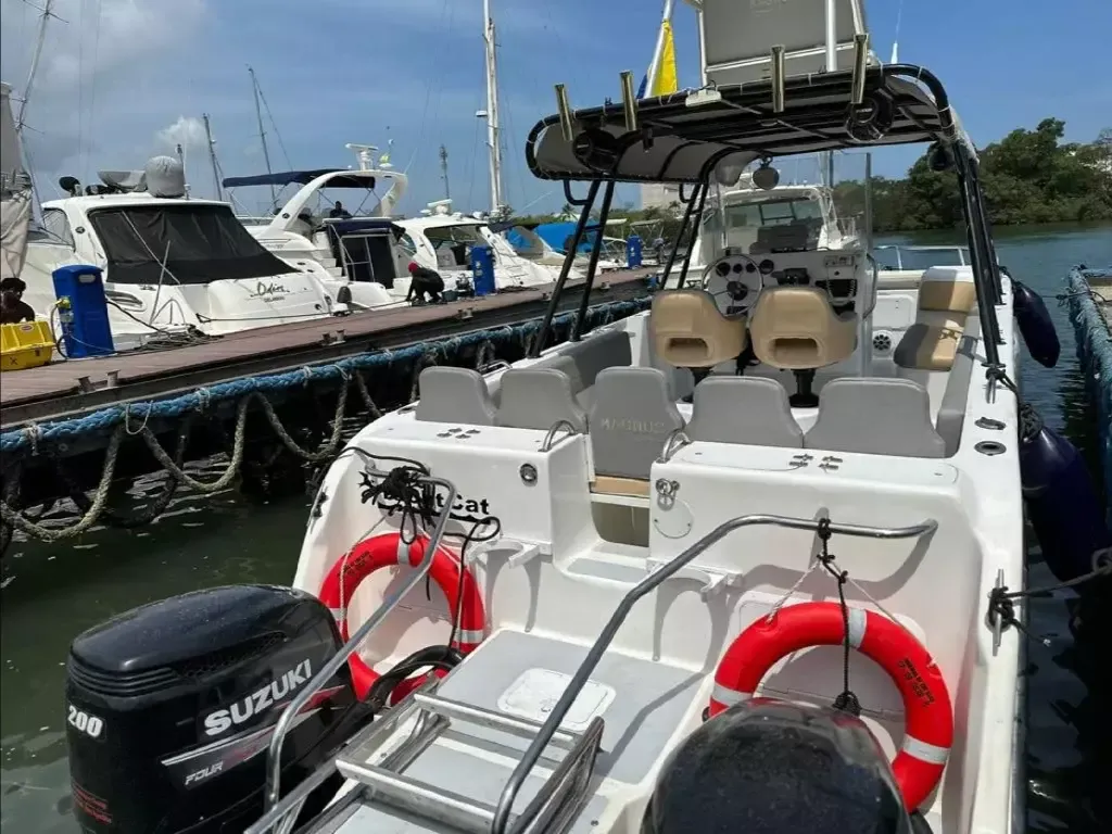 YachtCat 33 | Magnus