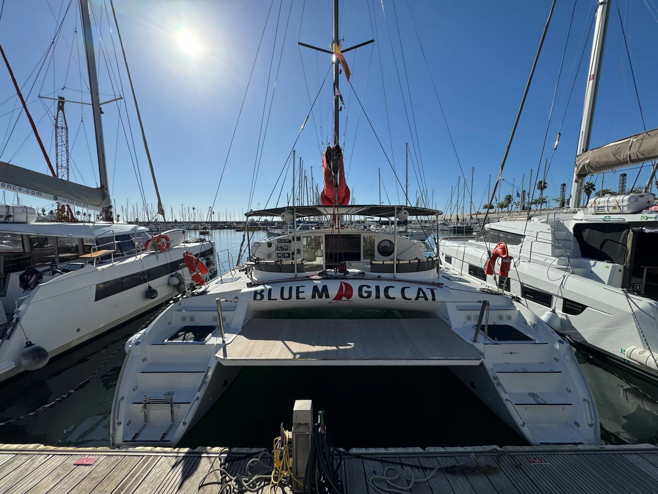 Outremer 42 | Blue Magic Cat