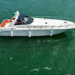 Sea Ray 50 | Party