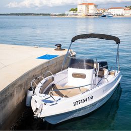 Bluline 19 | ALPHA LUXE