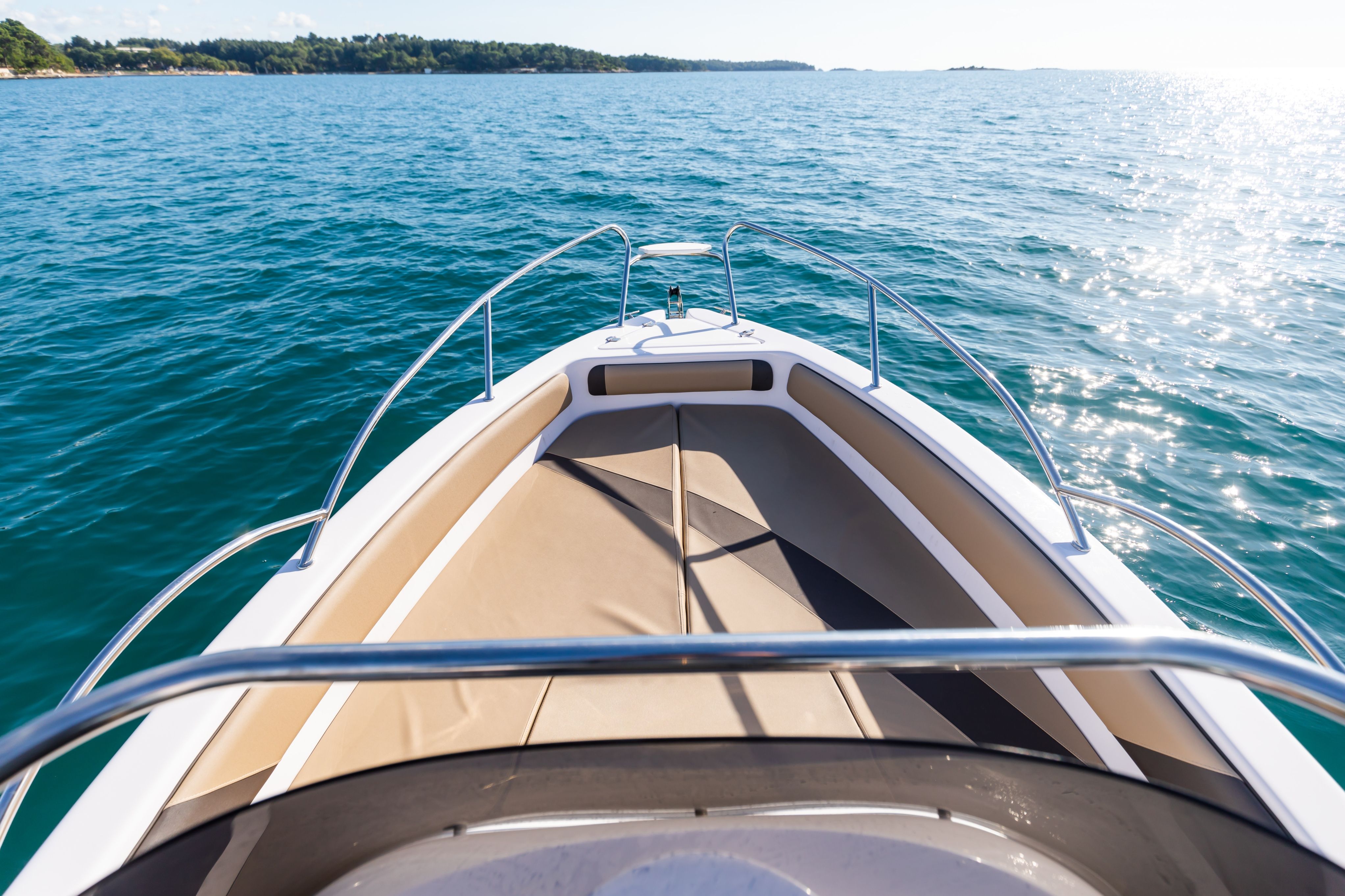 Bluline 19 | ALPHA LUXE