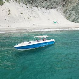 Todomar 34 | Flipper