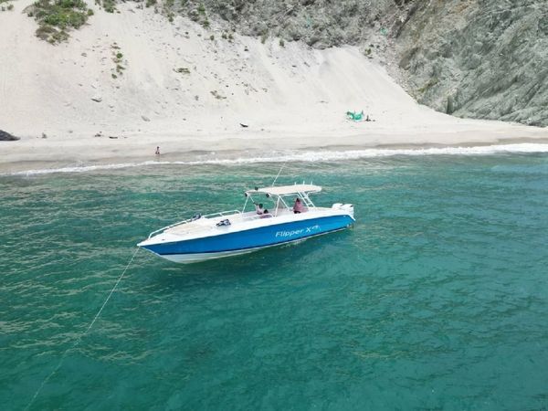 Todomar 34 | Flipper