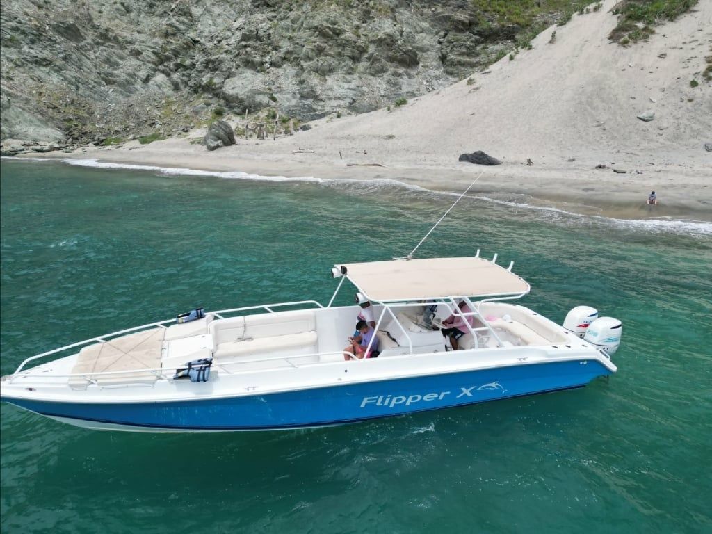 Todomar 34 | Flipper