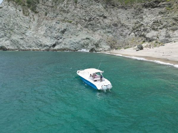 Todomar 34 | Flipper