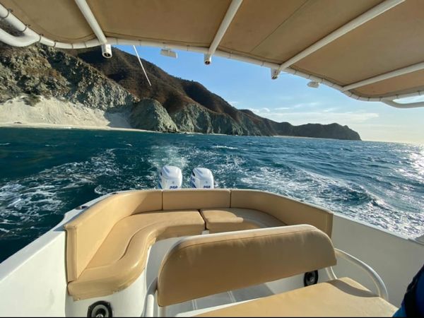 Todomar 34 | Flipper