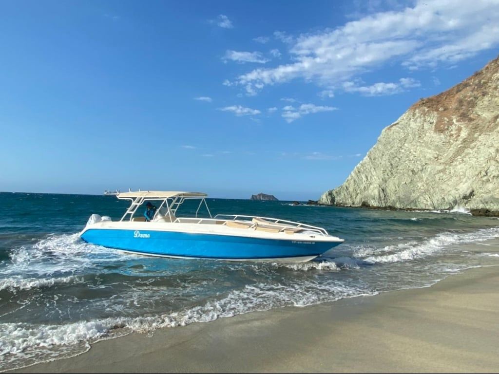 Todomar 34 | Flipper