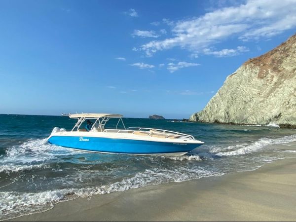 Todomar 34 | Flipper