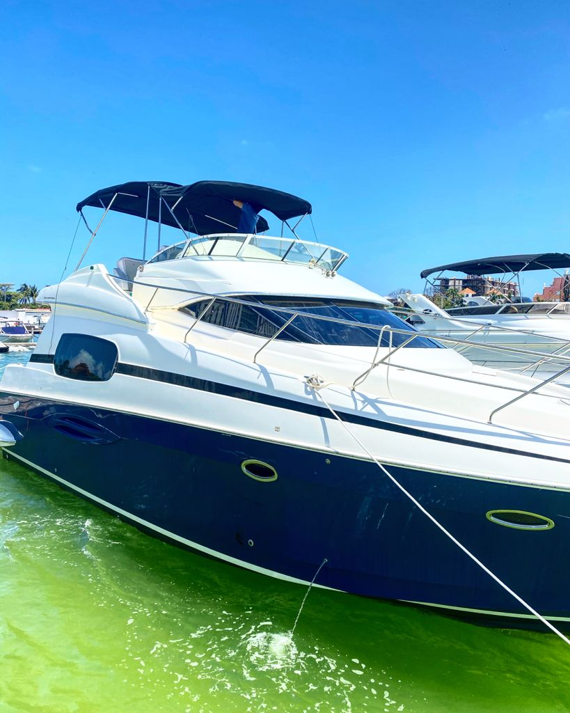 Silverton 45 | Blue Dreams