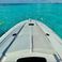 Sea Ray 60 Sundancer | Triton