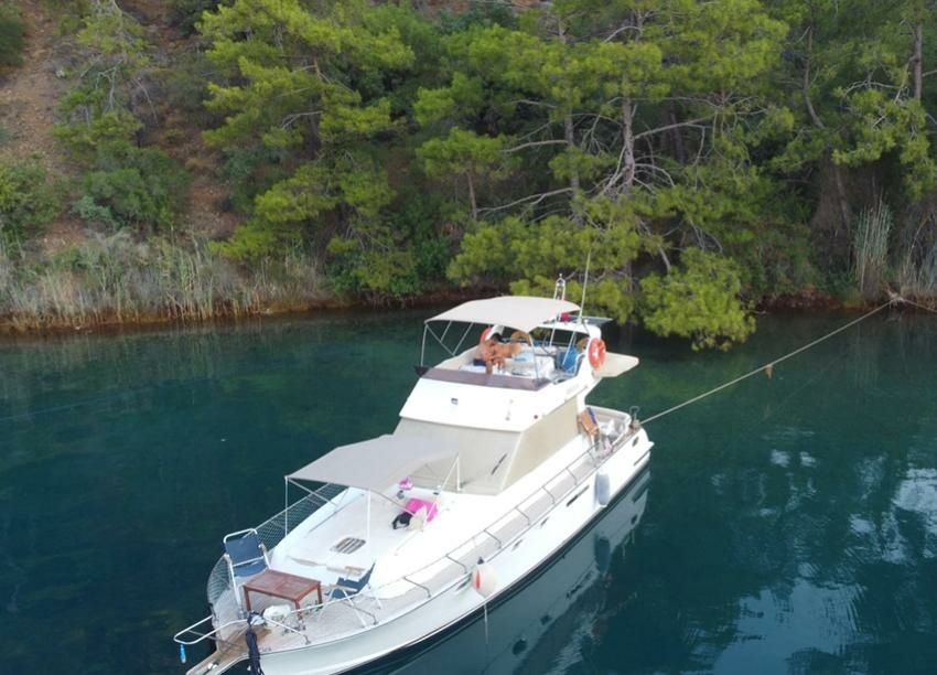 Custom Built 43 | Askin H