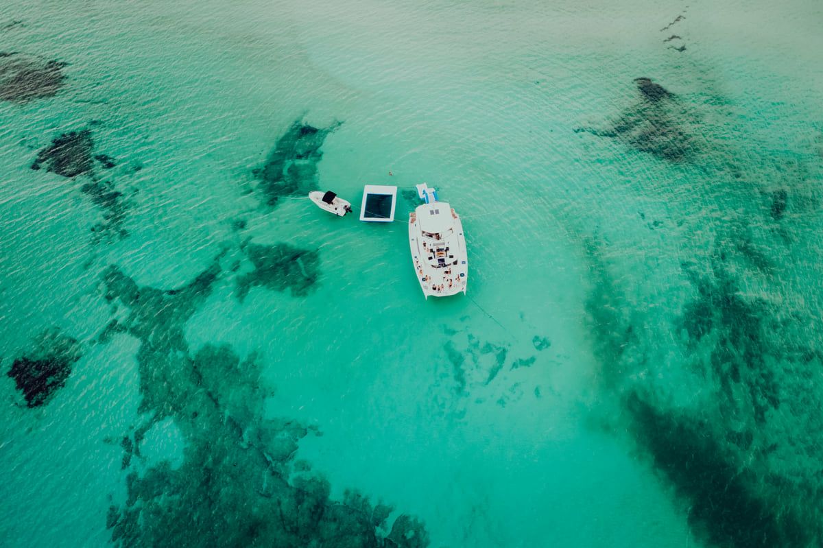 Leopard 51 PC | Kattu