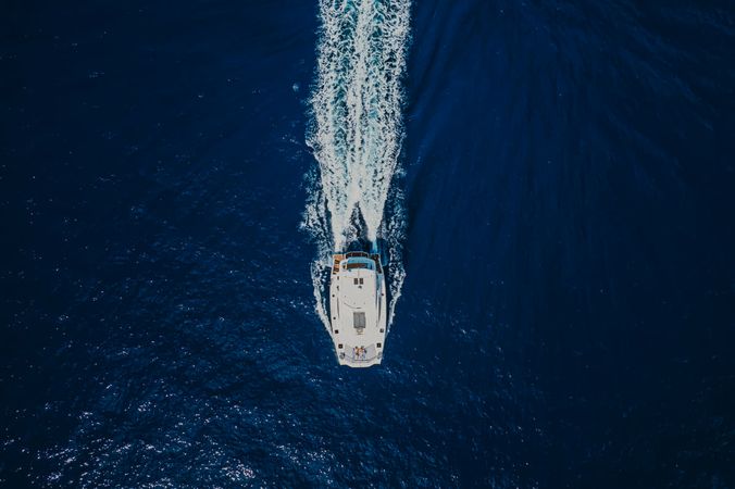 Leopard 51 PC | Kattu