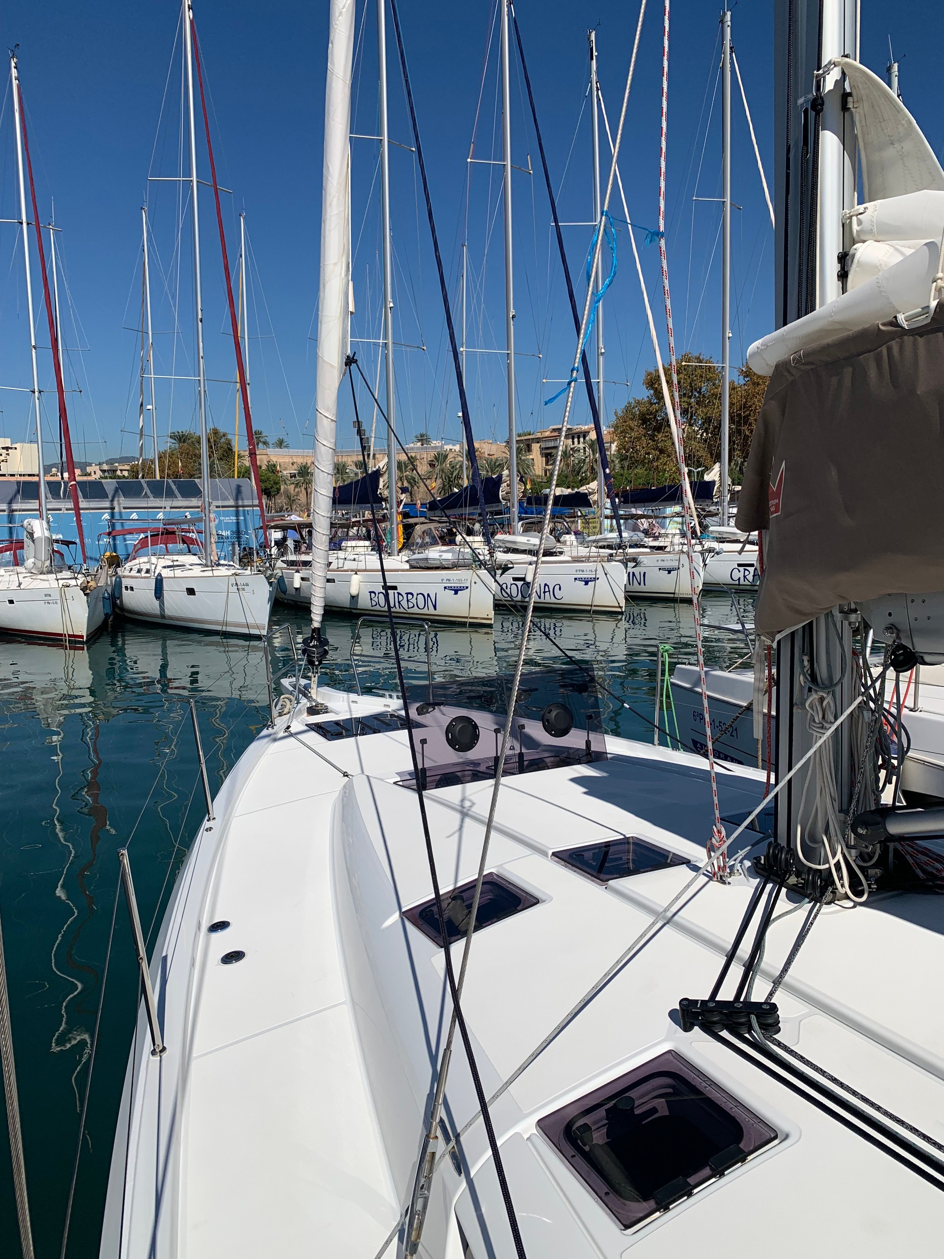 Jeanneau Sun Odyssey 490 | Vino Blanco