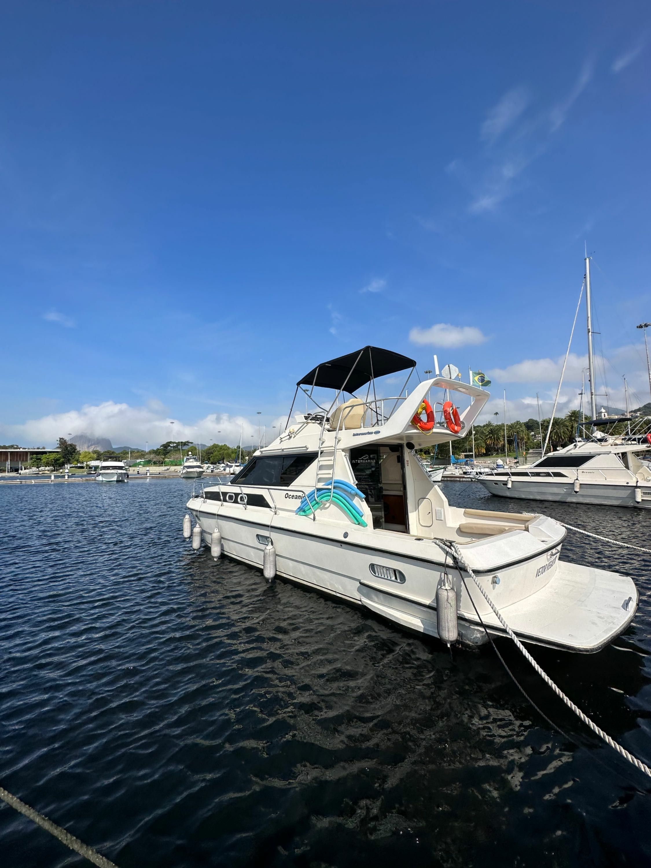 Intermarine Oceanic 36 | Vetor Vegas 3