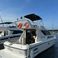 Intermarine Oceanic 36 | Vetor Vegas 3