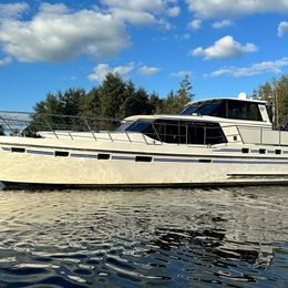 Comfort 49 | Comfortrose