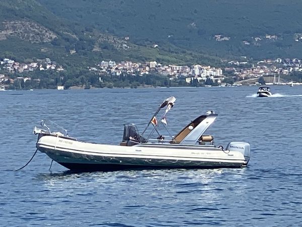 Grginič Shark 23 | Shark BBC