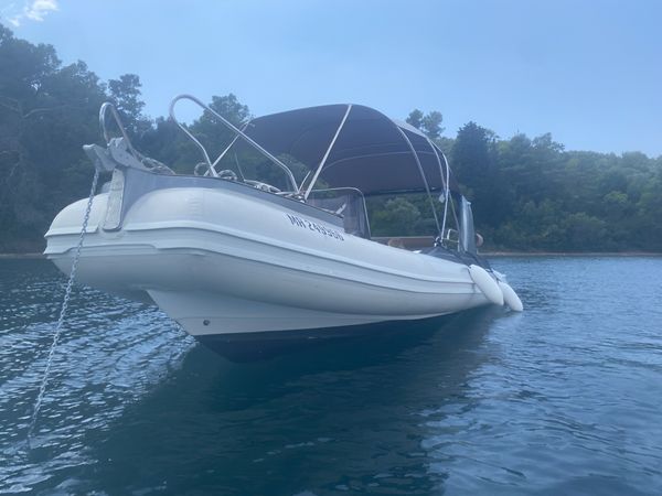 Grginič Shark 23 | Shark BBC