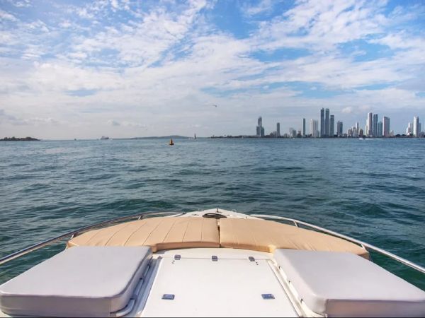 Todomar 42 | La Leona