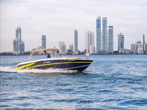 Todomar 42 | La Leona