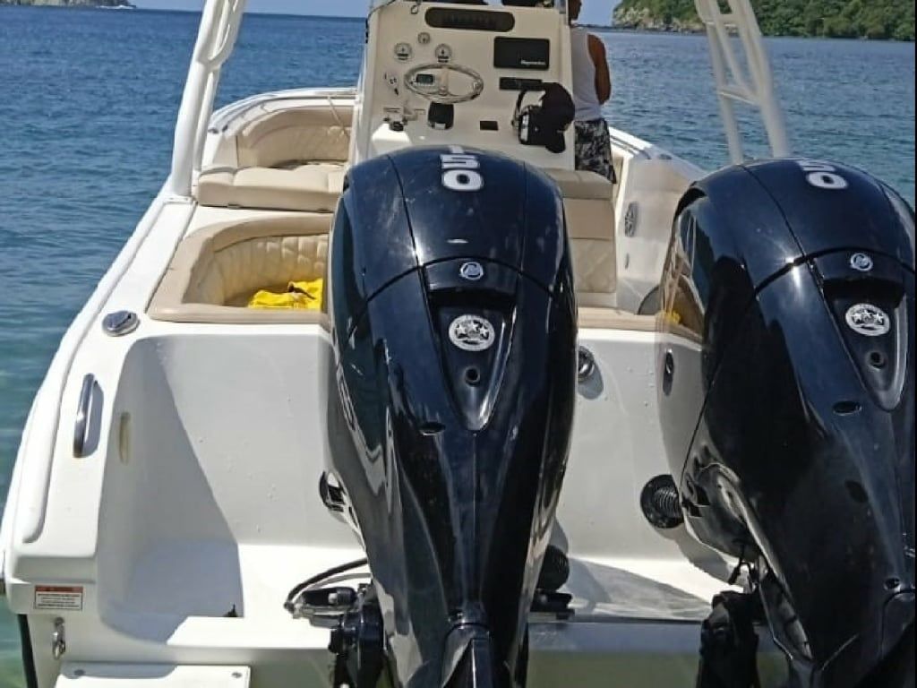 Todomar 32 | Pez Vela