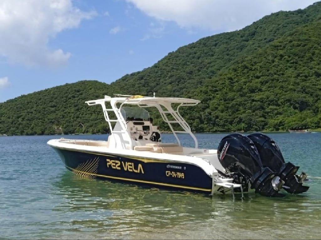 Todomar 32 | Pez Vela