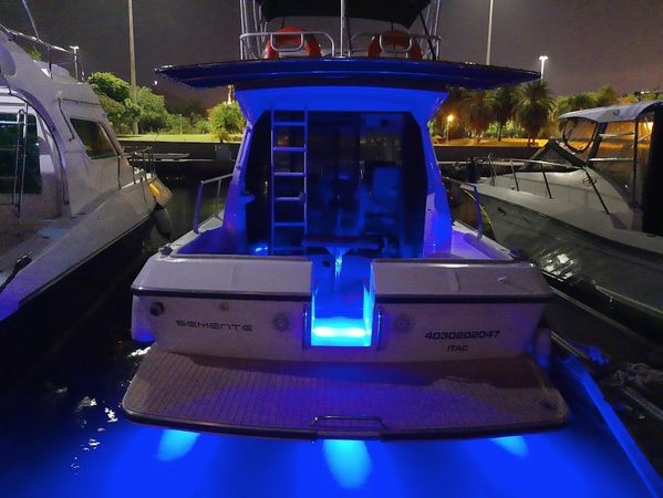 Intermarine Oceanic 36 | Semente