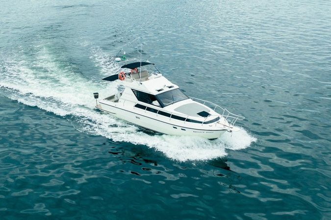 Intermarine Oceanic 36 | Semente