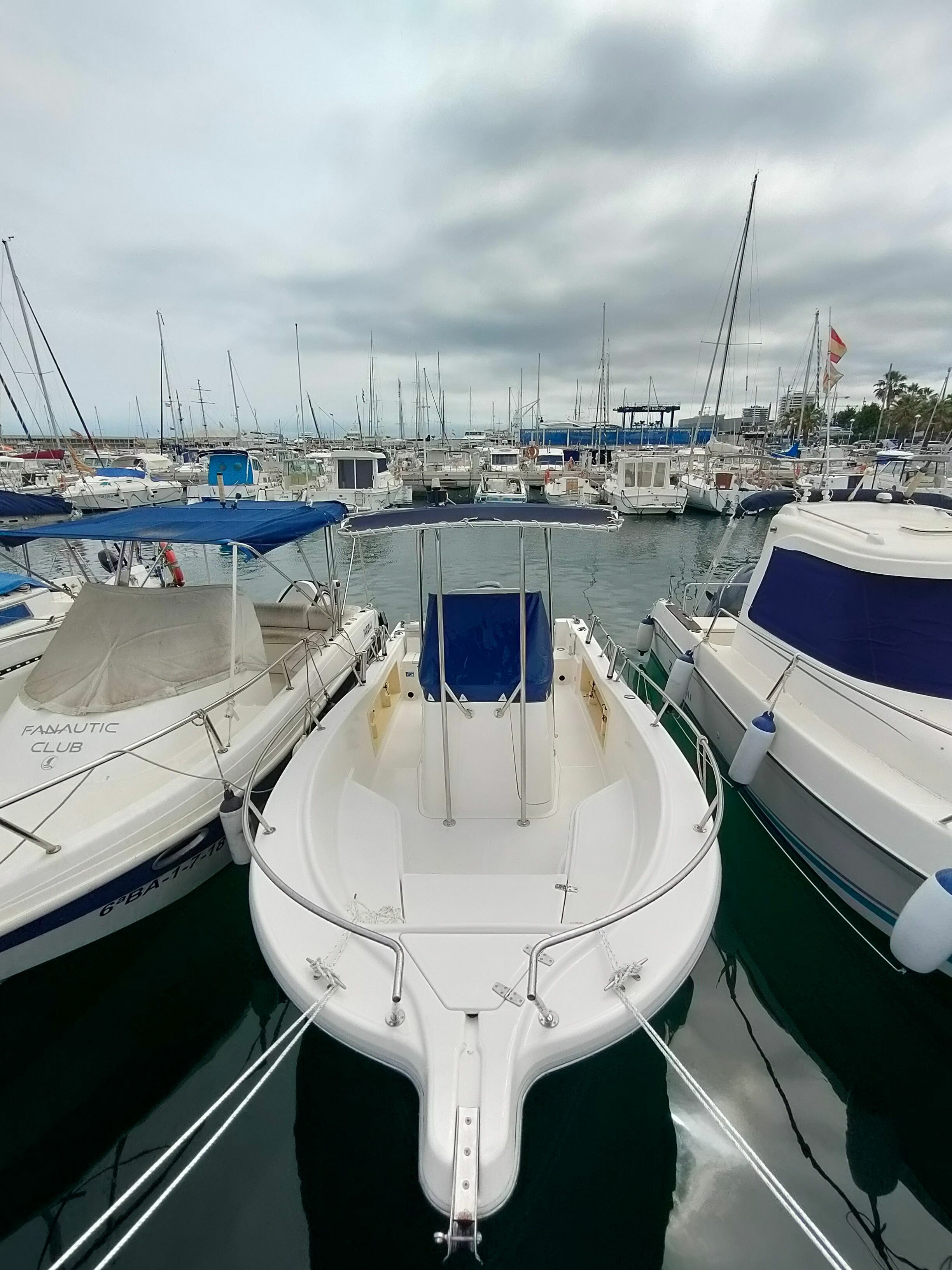 Kelt White Shark | Drakkar