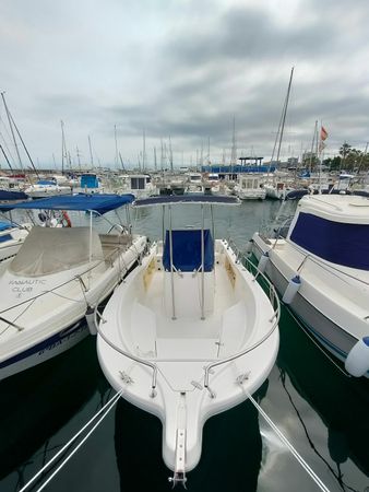 Kelt White Shark | Drakkar