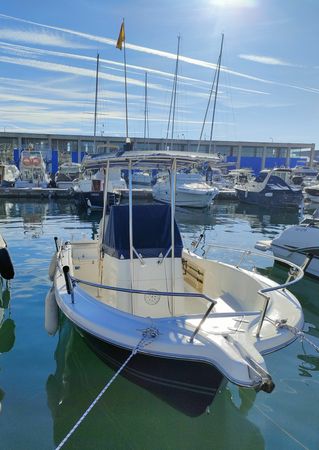 Kelt White Shark | Drakkar